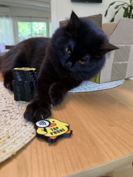 A black cat pawing at a duck tag beside stacks of fresh tags