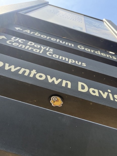 A duck tag on a Downtown Davis wayfinding sign